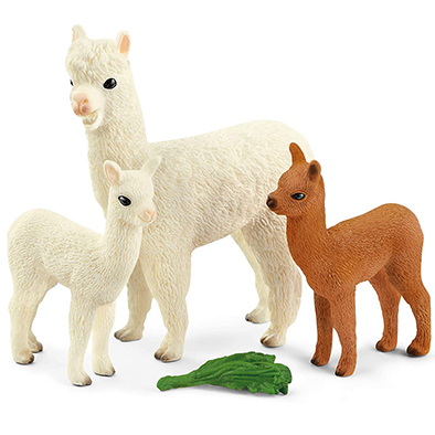 Animales Alpacas Familia