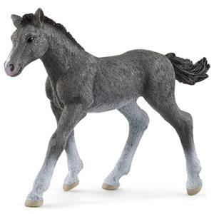 Animal Potro Trakehner