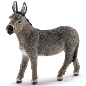 Animal Burro