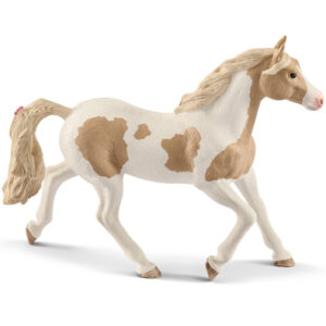 Animal Yegua Paint Horse