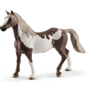 Animal Caballo Castrado Paint Horse
