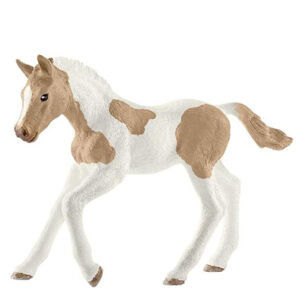 Animal Potro Paint Horse