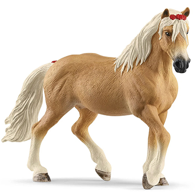 Animal Yegua Haflinger