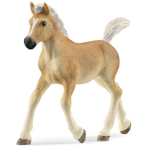 Animal Potro Haflinger