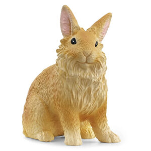 Animal Conejo Cabeza de León