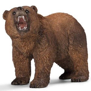 Animal Oso Pardo