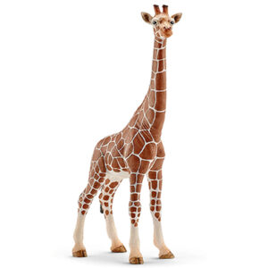 Animal Jirafa Hembra