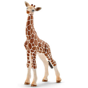 Animal Jirafa cría