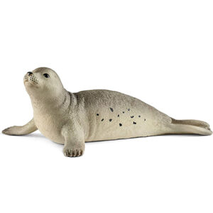 Animal Foca