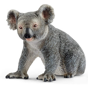 Animal Koala Macho