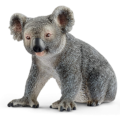 Animal Koala Macho