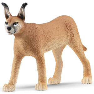 Animal Caracal Hembra