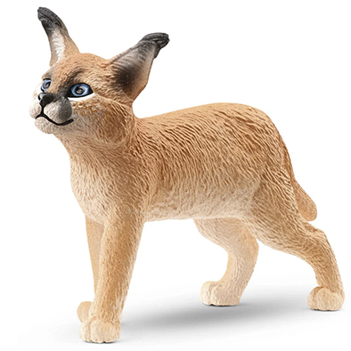 Animal Caracal cría