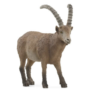 Animal Cabra Montés