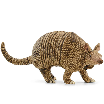 Animal Armadillo