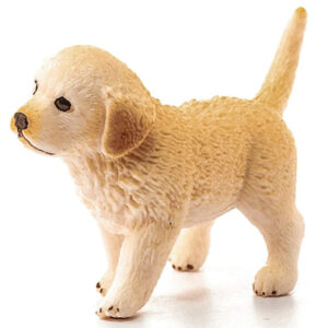 Animal Perro Golden Retriever Cachorro