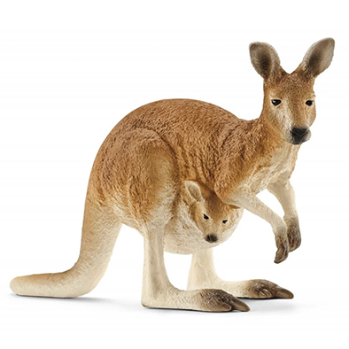 Animal Canguro