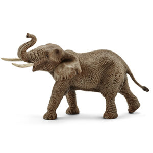 Animal Elefante Africano Macho