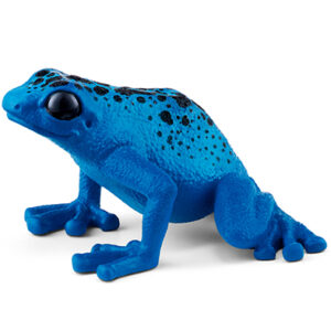 Animal Rana Venosa Azul