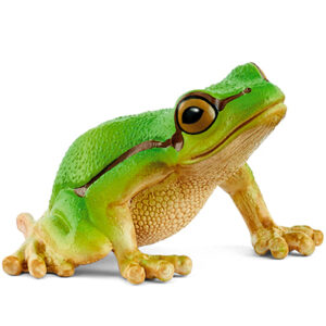 Animal Rana Arborea Europea