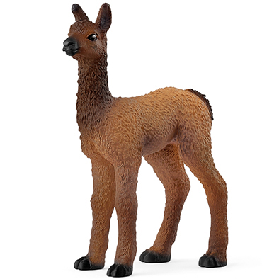 Animal Llama Potro