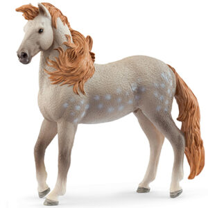 Animal Semental Andaluz