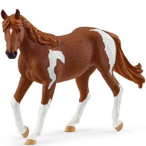 Animal Yegua Paint Horse