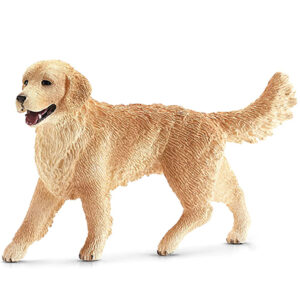 Animal Perro Golden Retriever Hembra