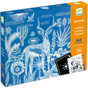 Crear con Cianotipia Noche en la Sabana