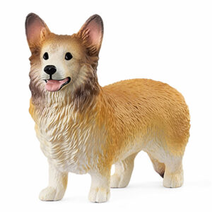 Animal Perro Corgi
