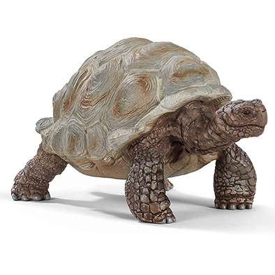 Animal Tortuga Gigante
