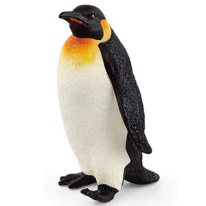Animal Pingüino