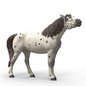 Animal Caballo Knabstrupper