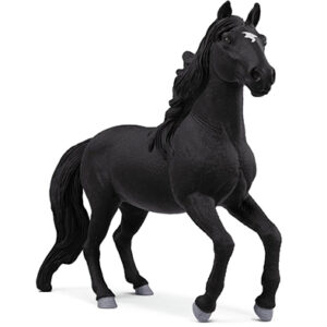 Animal Caballo Lusitano