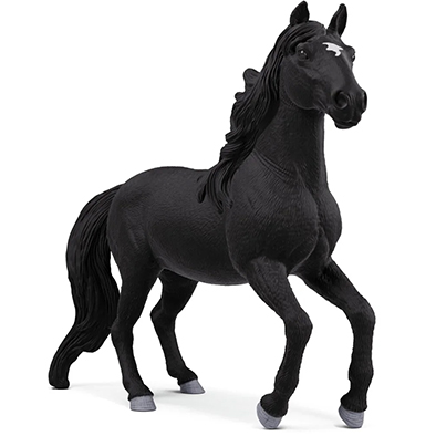 Animal Caballo Lusitano