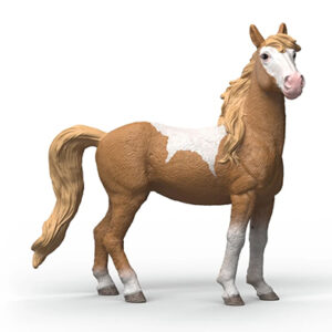Animal Yegua Mustang