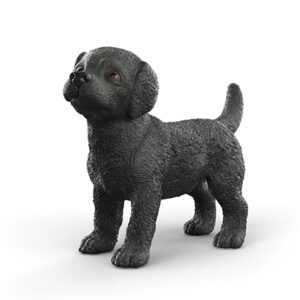 Animal Perro Labrador Negro Cachorro