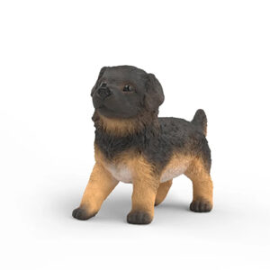 Animal Perro Pastor Aleman Cachorrro