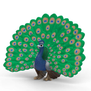 Animal Pavo Real