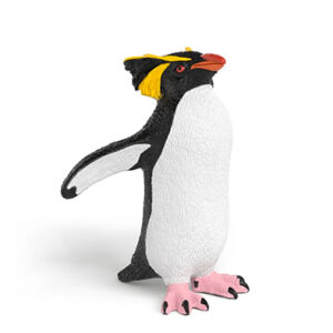 Animal Pingüino Saltarrocas
