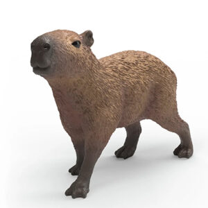 Animal Capibara