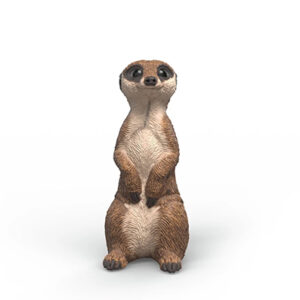 Animal Suricata