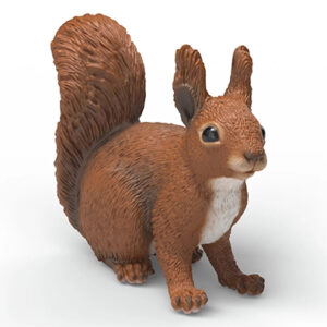Animal Ardilla