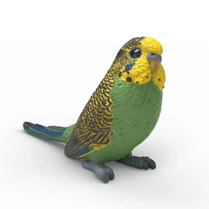 Animal Perico