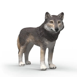 Animal Lobo Americano