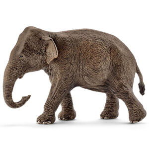 Animal Elefante Asiatico Hembra