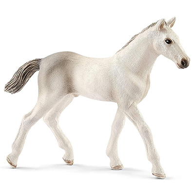 Animal Potrillo Holsteiner