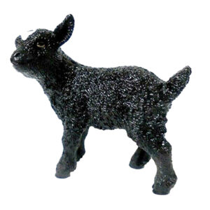 Animal Cabra Negra Joven