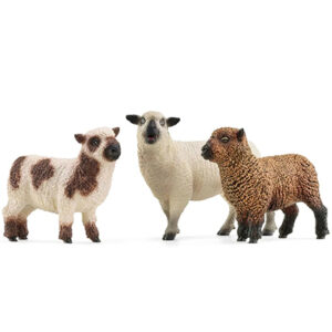 Animales Ovejas Amistosas